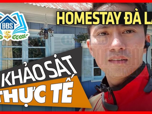 KINH DOANH HOMESTAY Ở ĐÀ LẠT – TRANG TRÍ HÀNG RÀO – HVBDS.COM